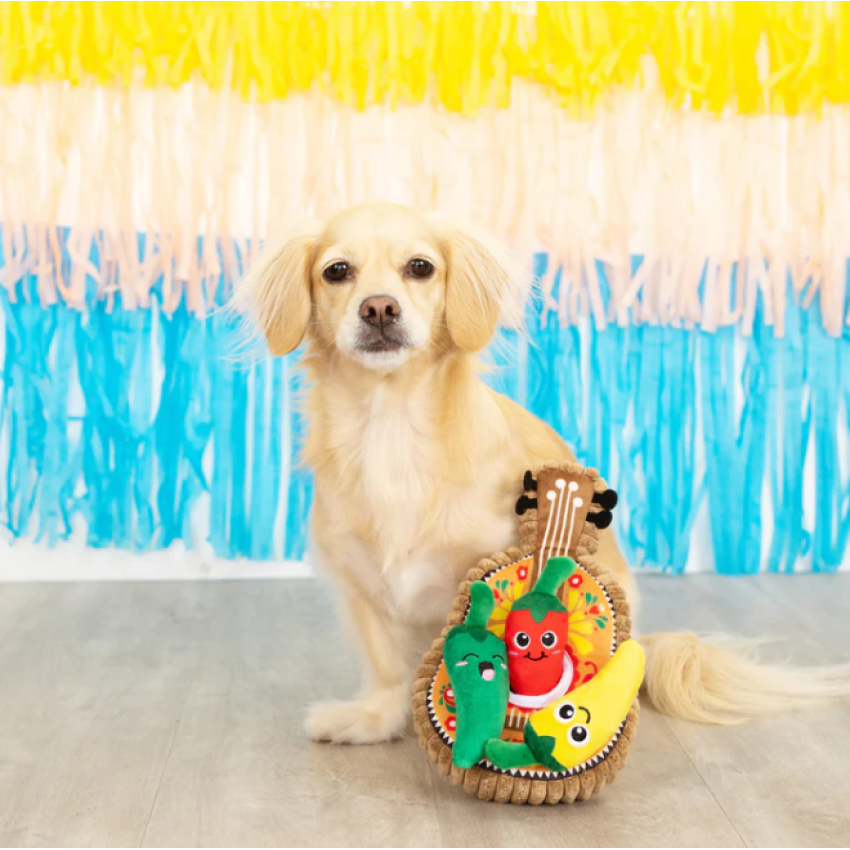 Petshop - FIESTA TILL YOU SIESTA DOG TOY