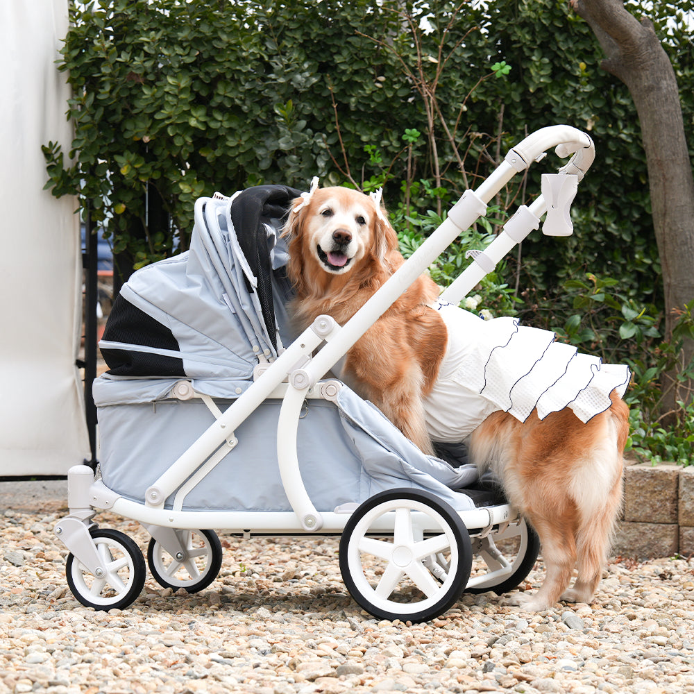 Pompolarr Pet Deluxe Wagon - Heavy Duty Pet Stroller （3 Color)