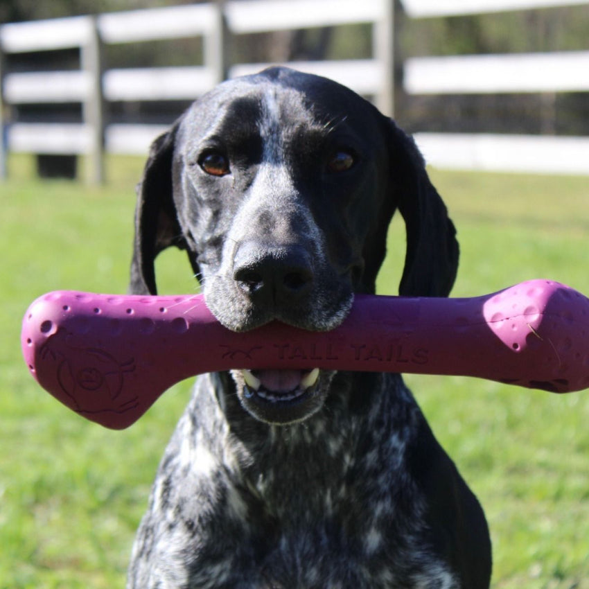Tall Tails - Rubber Toy - G.O.A.T. Rubber Sport Bone