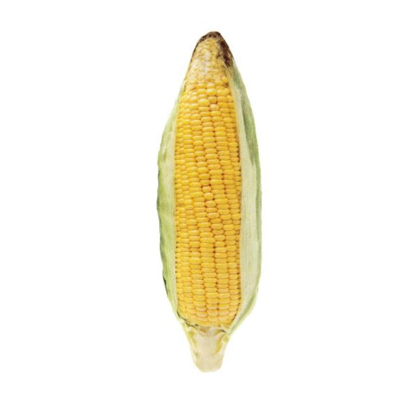 Ferribiella - Ear of Corn Matatabi Cat Toy