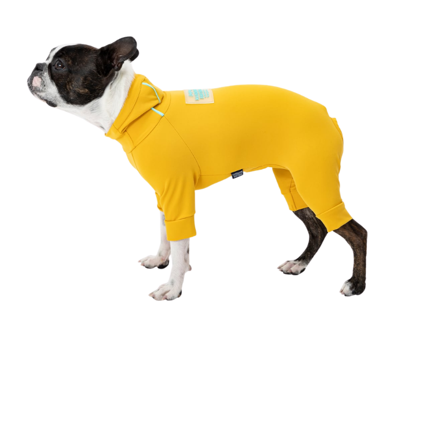 MANDARINE BROTHERS - Water Repellent Skin Tight Suit - Marigold