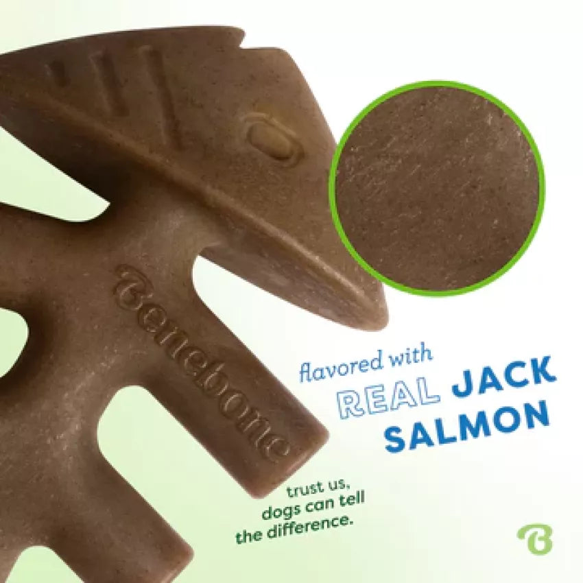 Benebone - Fishbone Durable Dog Chew - Jack Salmon Flavor (Small)