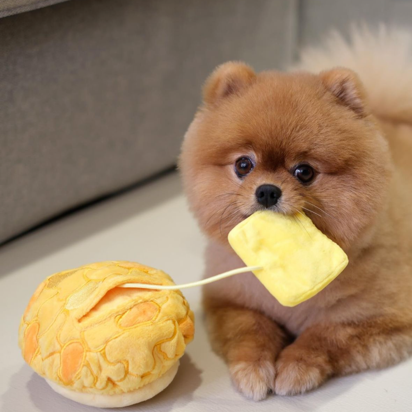 PP LAB - Pineapple Bun with Paper Bag Combo Plush Toy