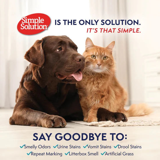 Simple Solution Dog Extreme Stain and Odor Remover (32 oz)