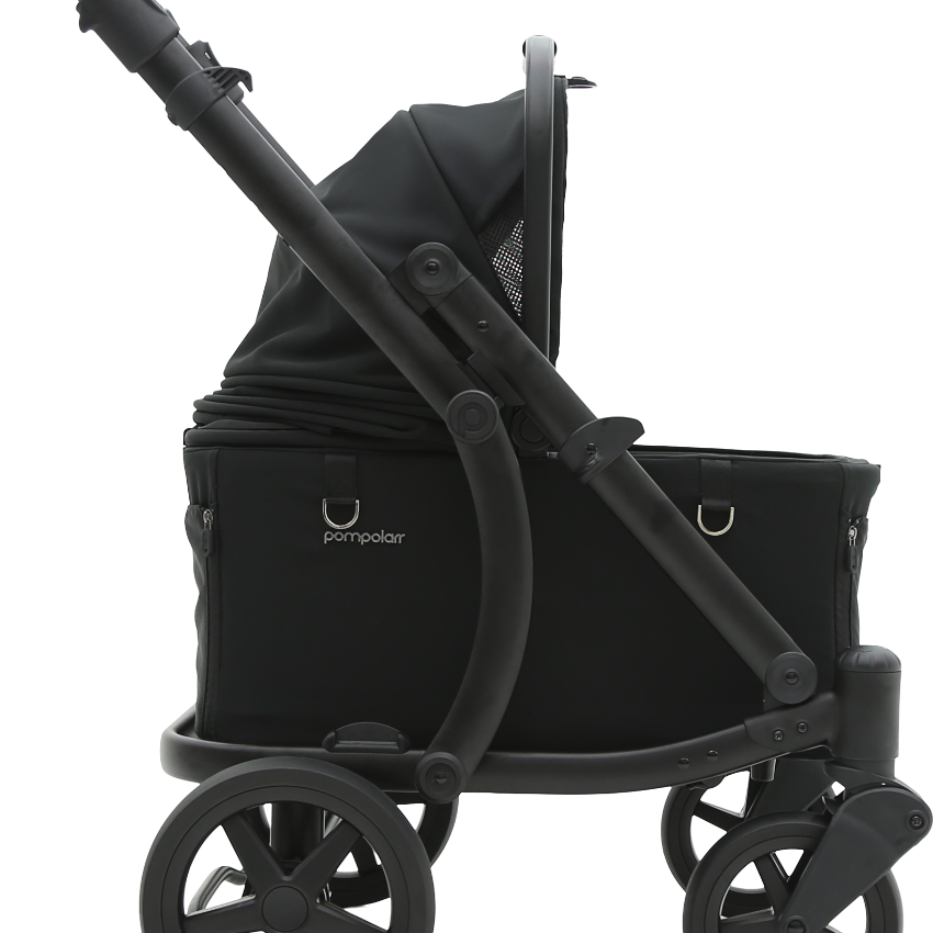 Pompolarr Pet Modu Wagon - Hybrid Detachable Pet Stroller (Black)