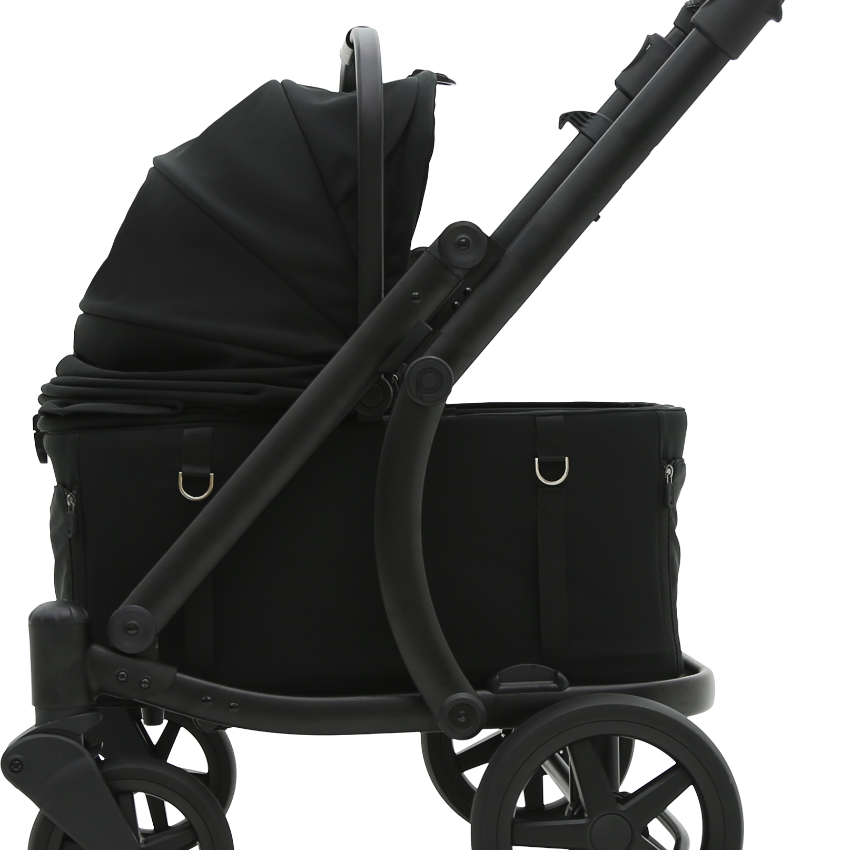Pompolarr Pet Modu Wagon - Hybrid Detachable Pet Stroller (Black)