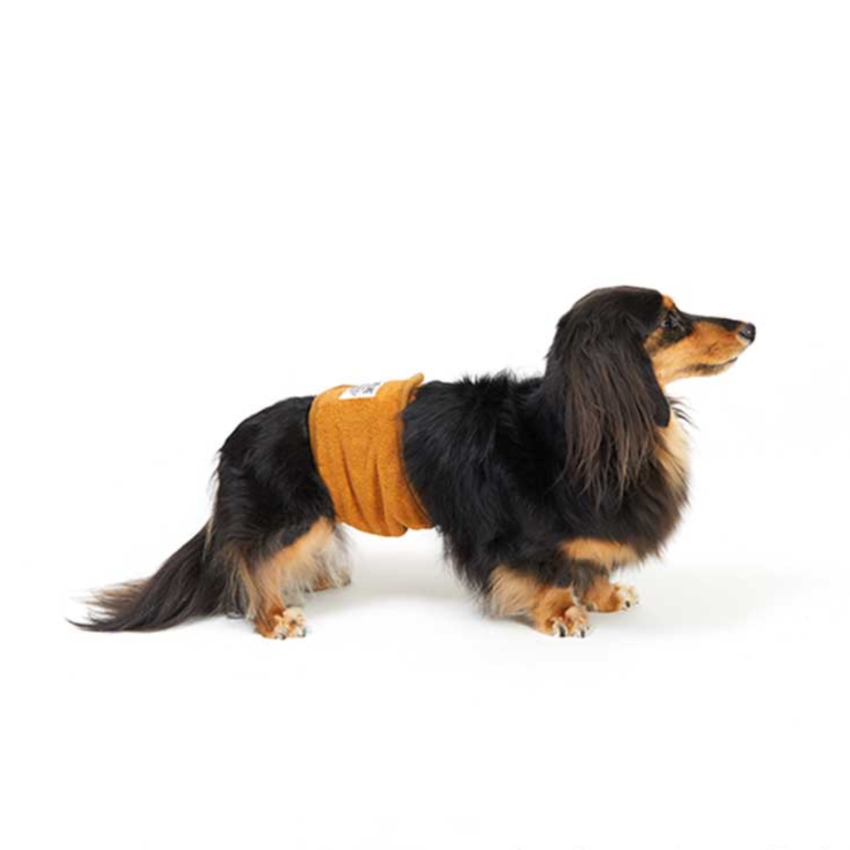 Lifelike - Manner belt