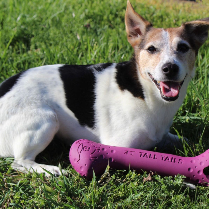 Tall Tails - Rubber Toy - G.O.A.T. Rubber Sport Bone