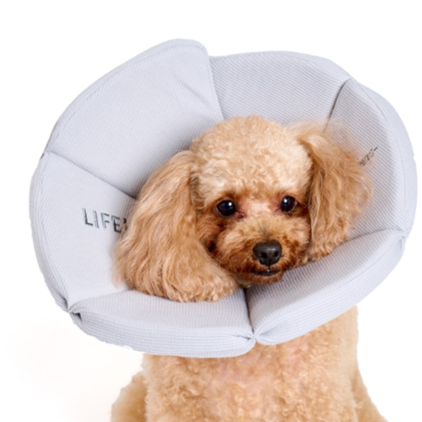 Lifelike - Recovery Collar