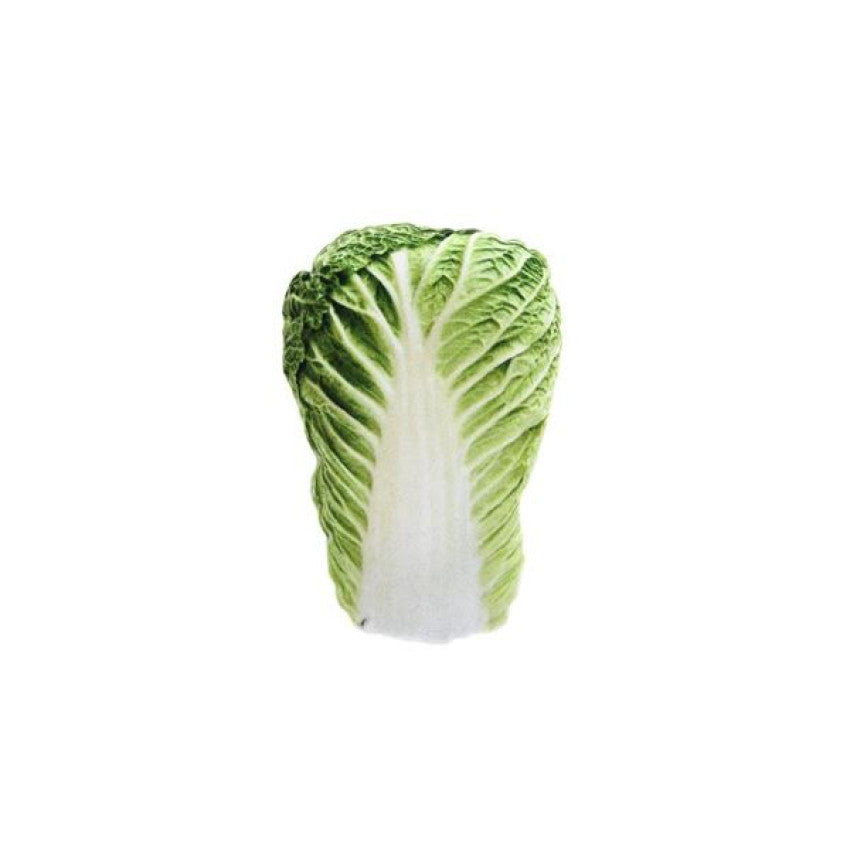 Ferribiella - Lettuce Matatabi Cat Toy