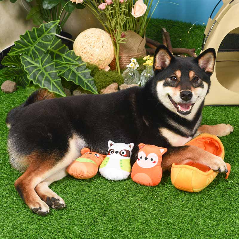 HugSmart Camping Pups Kayak Dog Toy Set