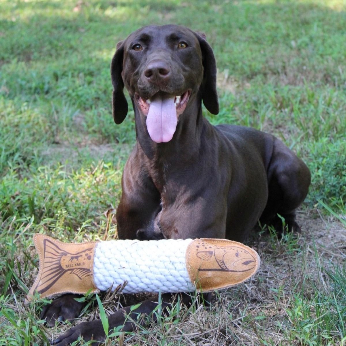 Tall Tails - Leather Toy - Natural Leather & Rope Trout - 15"