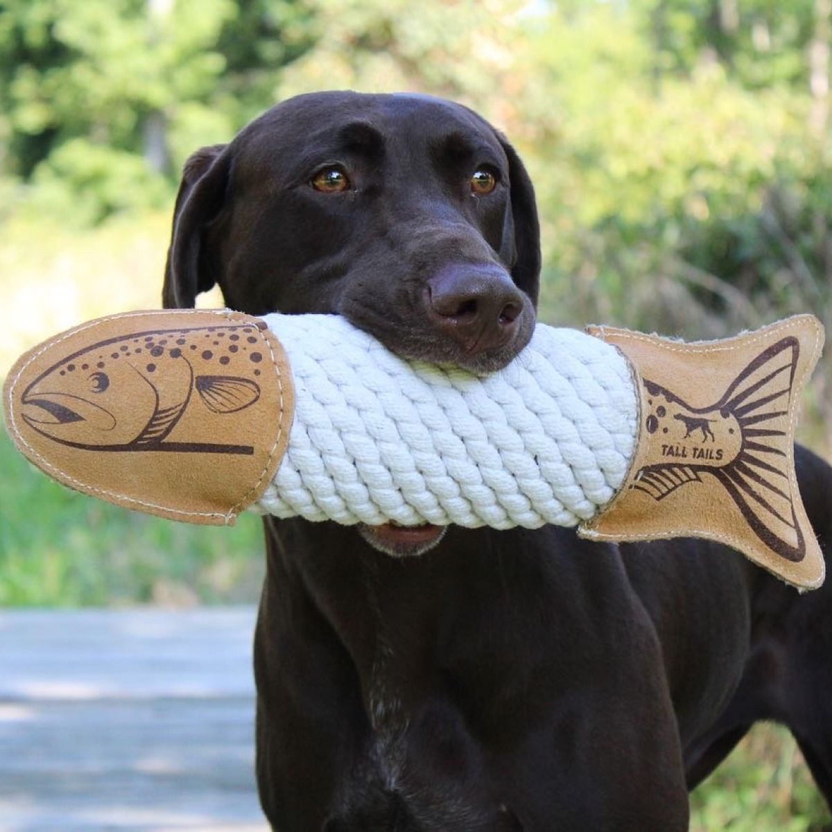 Tall Tails - Leather Toy - Natural Leather & Rope Trout - 15"
