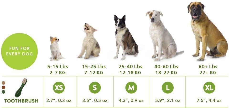 Whimzees Toothbrush Dental Dog Treats - Medium (12pcs)