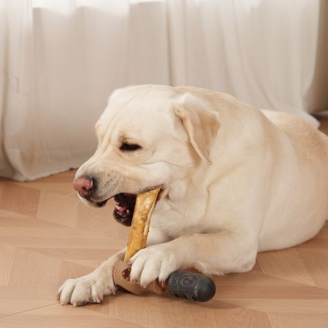 Territory Treat Lock Chew Toy For Dogs