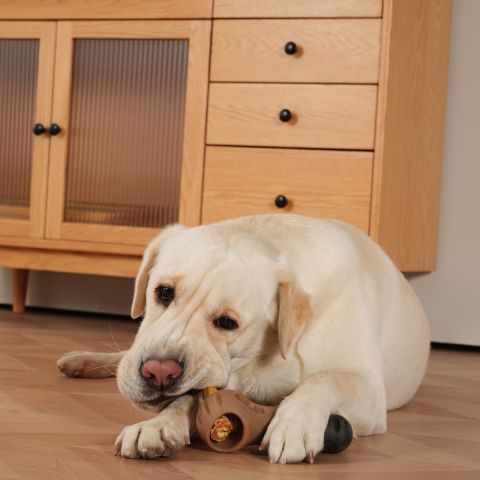 Territory Treat Lock Chew Toy For Dogs