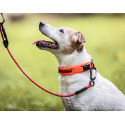 Tamer Leash EASYLONG - TWIST/8 - 50 kg - 2.5m