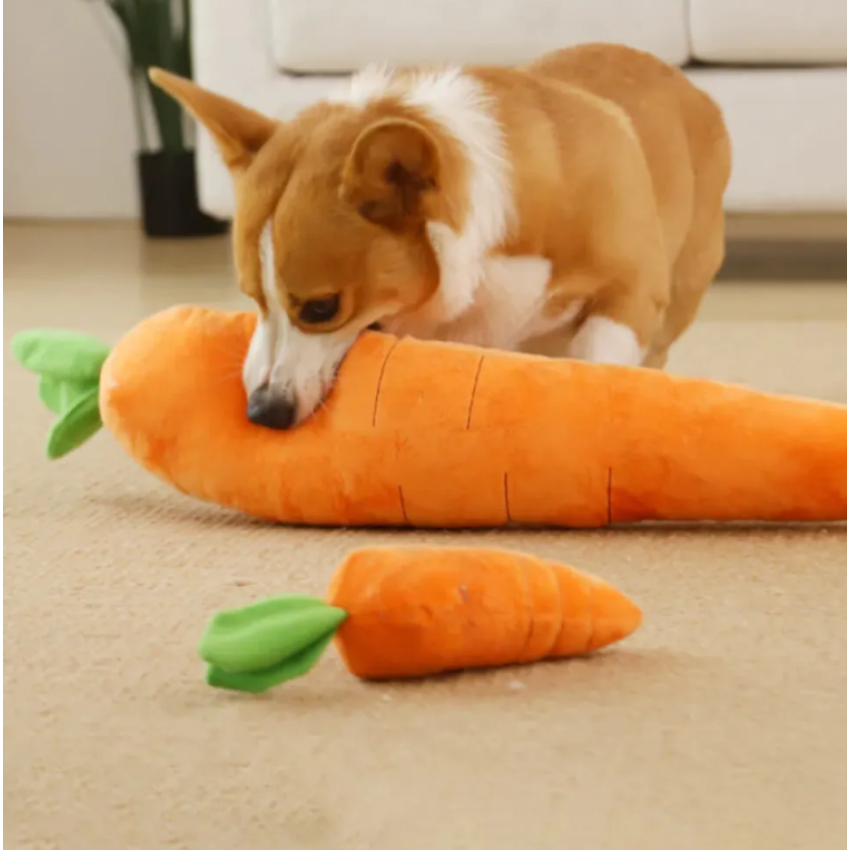 PetLou Carrot Toys (Available in 3size)