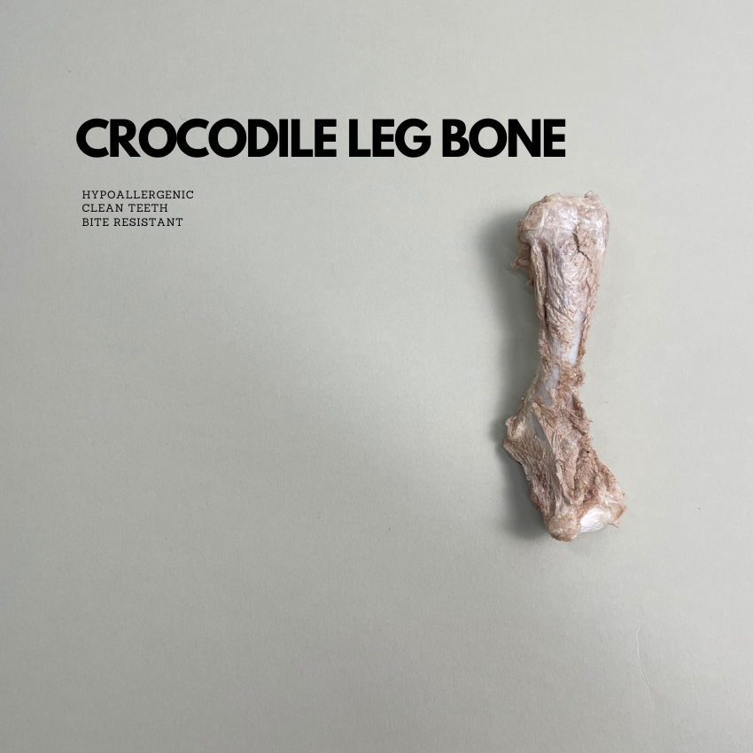 Freeze Dried Thailand Crocodile Leg Bone