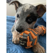 Tall Tails Toy Braided Bone Orange 7" / 9"