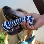 Tall Tails Toy Braided Bone Navy 9"