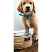 Tall Tails Accessories - Wood Desinger Dog Bowl 