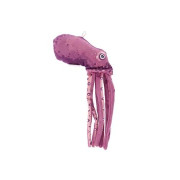 Ferribiella MATATABI OCTOPUS CAT TOY (excluded Fishing Rod)