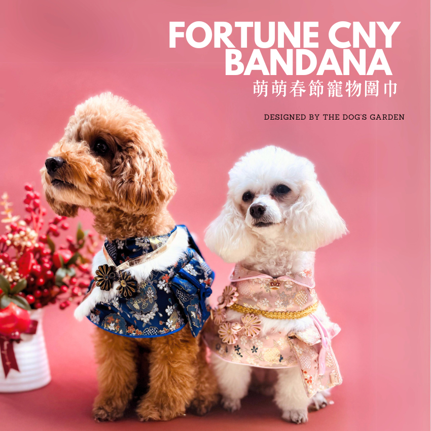 Fortune CNY Bandana 