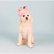 Petshop - IF THE CROWN FITS DOG TOY