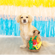 Petshop - FIESTA TILL YOU SIESTA DOG TOY