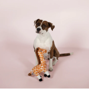 Petshop - LONGNECK LAWRENCE DOG TOY